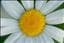 999999